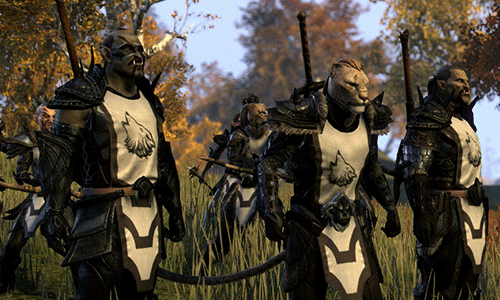 Elder Scrolls Online video