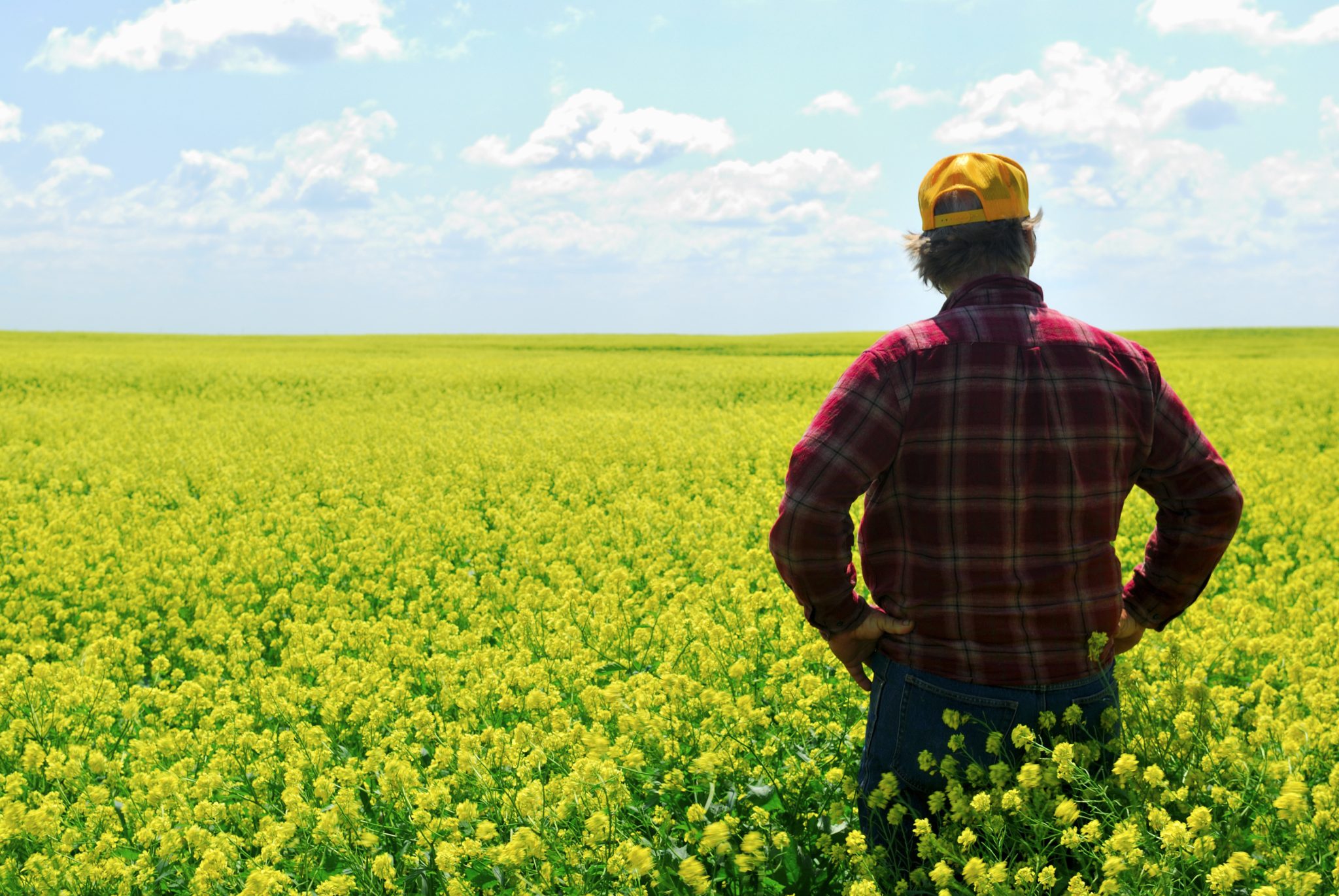 Farmer Farm Field Crops